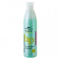 WT METHODE Spalvą sugantis šampūnas dažytiems, šviesintiems, tonuotiems plaukams COLOR REPAIR, 250 ml