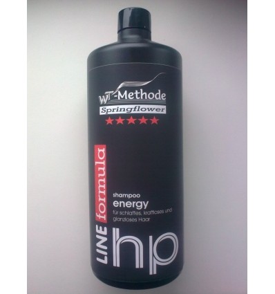 WT METHODE Stipraus poveikio šampūnas nuo plaukų slinkimo ENERGY, 1000 ml